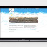ellirio_web